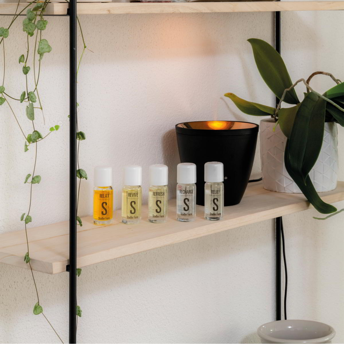 Duftle fr Aroma Diffuser von Stadler Form